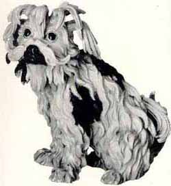 Havanese Puppies Arizona