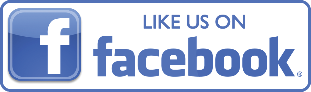 R'Gang Havanese on Facebook
